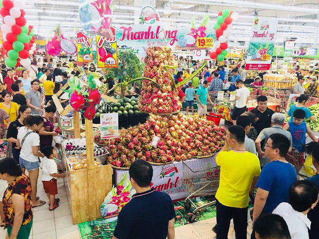 Trái Thanh long Bình Thuận được Central Group Việt Nam quảng bá, tiêu thụ khoảng 500 tấn - Hình 2