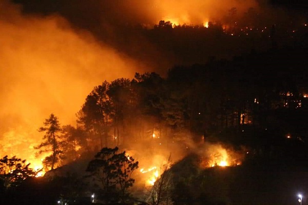 Toàn bộ nhân viên Điện lực Hương Sơn thức trắng đêm để chống cháy rừng - Hình 2