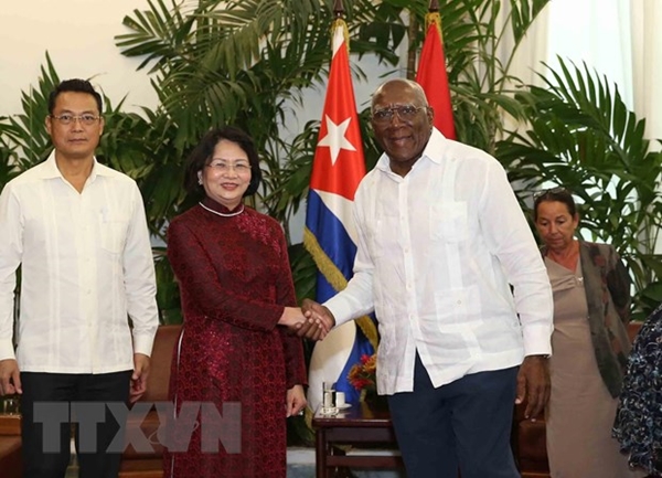 Phó Chủ tịch nước Đặng Thị Ngọc Thịnh hội đàm với Phó Chủ tịch Cuba - Hình 1