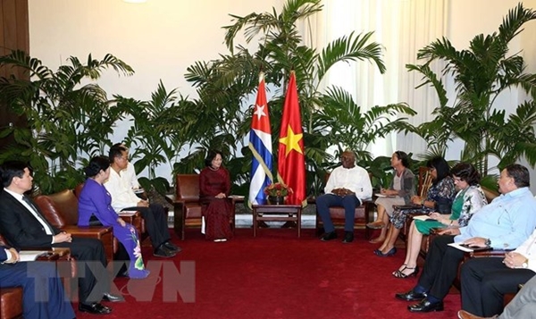 Phó Chủ tịch nước Đặng Thị Ngọc Thịnh hội đàm với Phó Chủ tịch Cuba - Hình 2