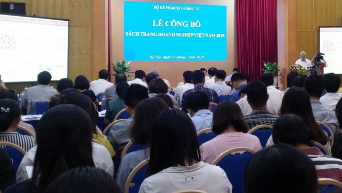 Công bố Sách trắng doanh nghiệp Việt Nam năm 2019 - Hình 1