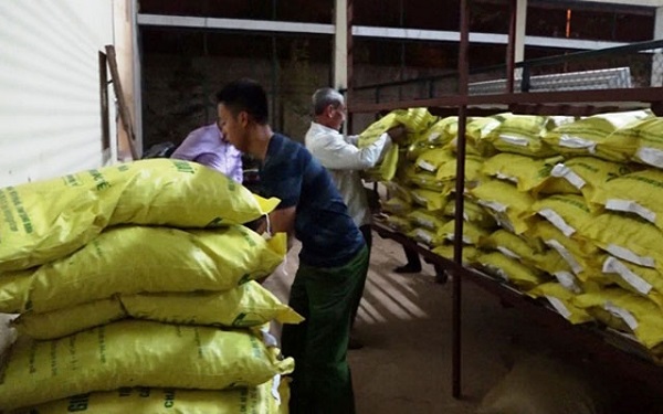 Khởi tố vụ án sản xuất giống cây trồng giả