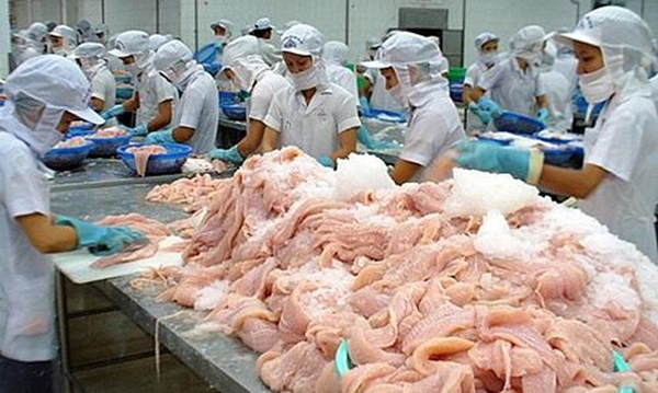 Xuất khẩu cá tra sang thị trường ASEAN đạt hơn 87 triệu USD - Hình 1