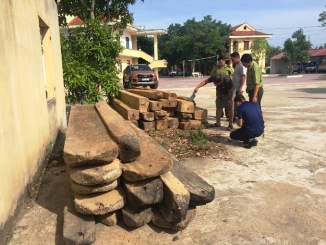 Quảng Bình: Truy đuổi xe chở gỗ lậu, một cán bộ kiểm lâm bị đánh nhập viện