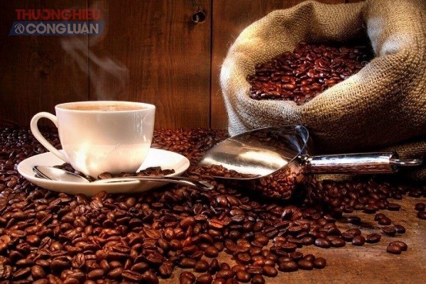 Ngày cà phê Việt Nam lần thứ 3 sẽ tổ chức trong tháng 12 tại tỉnh Gia Lai - Hình 1