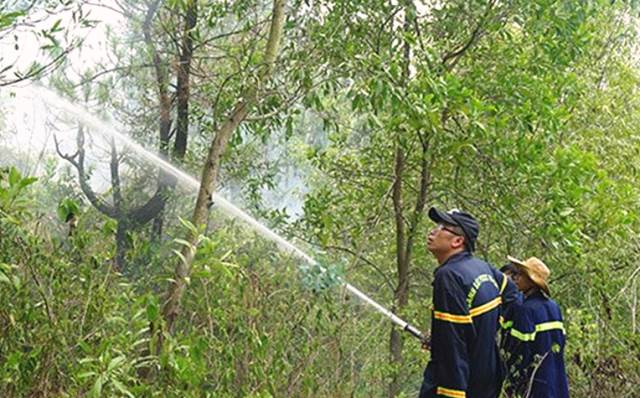 Đà Nẵng: Cháy lớn, hàng trăm chiến sĩ tham gia chữa cháy rừng trong đêm - Hình 4