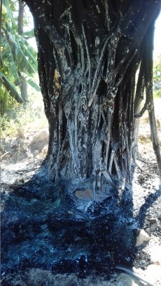 Thừa Thiên Huế: Cần xử lý nghiêm kẻ hủy hoại tài sản doanh nghiệp