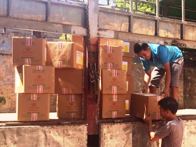 Hà Tĩnh: Cấp 38.000 lít hóa chất phòng chống dịch tả lợn châu Phi