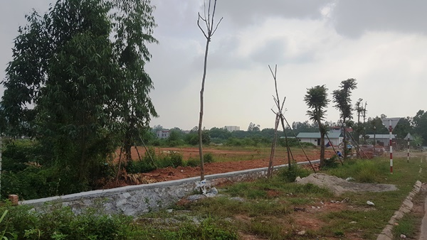 Vĩnh Phúc: Cần giám sát chặt dự án của Công ty Bạch Mã