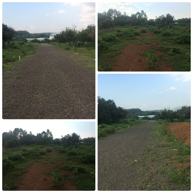 Đồng Nai: Kẽ hở nào giúp ‘đầu nậu’ ngang nhiên phân lô, bán nền trái phép? - bài 4