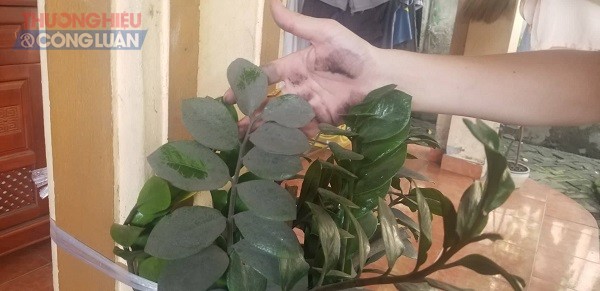 Tiếp bài Miwon Việt Nam gây ô nhiễm: “Lỗi do lịch sử để lại, không thể xử lý dứt điểm” - Hình 4