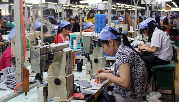 Tháng 7/2019, hơn 12.350 doanh nghiệp thành lập mới