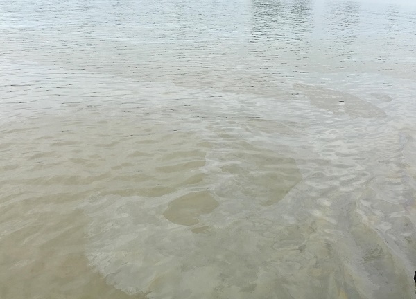 Hải Dương: Nguồn nước đầu vào cho nhà máy nước sạch nguy cơ bị ô nhiễm - Hình 2