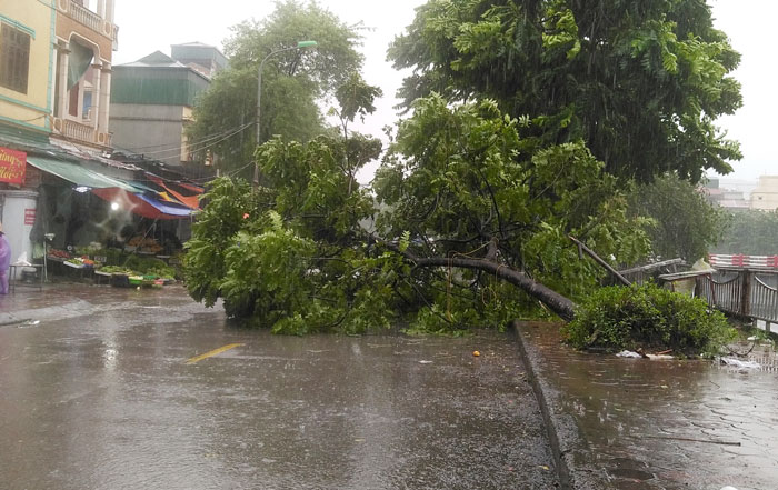 Hà Nội: Nhiều tuyến phố ngập lụt cục bộ do mưa lớn kéo dài - Hình 5