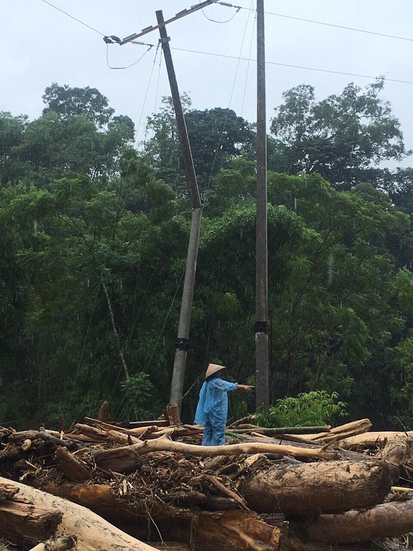 EVNNPC nhanh chóng khắc phục sự cố lưới điện trong thời tiết gặp nhiều khó khăn - Hình 5