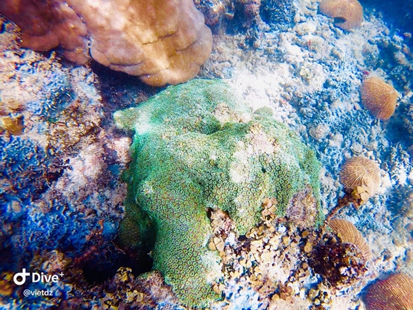 Chưa biết những trải nghiệm này, coi như chưa biết Nam đảo đẹp và hoang sơ thế nào - Hình 2