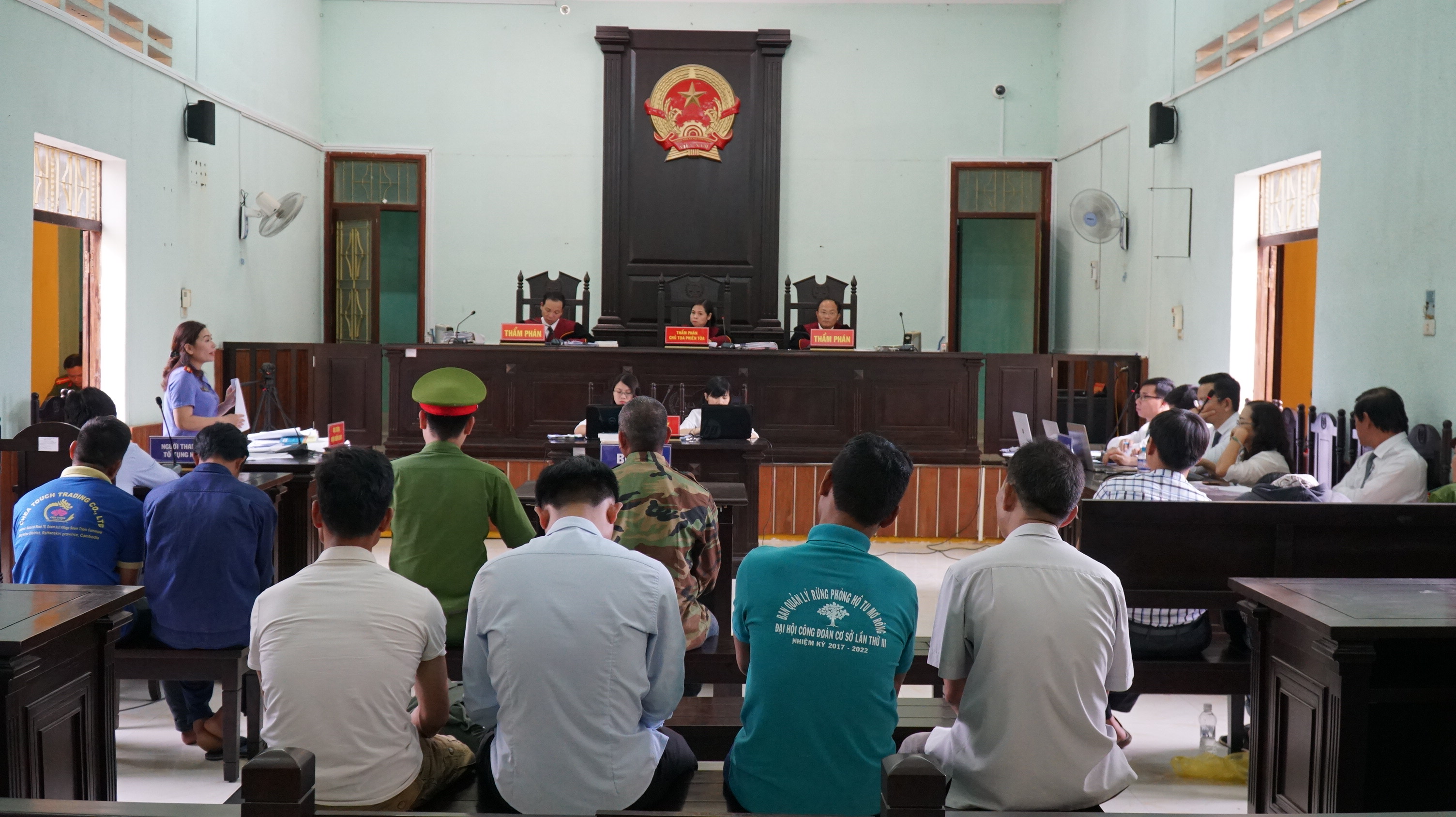 Kon Tum: Tranh luận nảy lửa vụ “cưa gỗ khô bị kết tội trộm cắp”