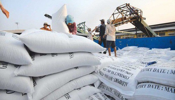 Tập trung mở rộng thị trường xuất khẩu gạo vào châu Phi, ASEAN - Hình 1