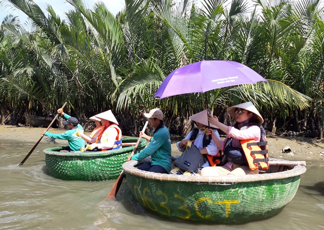 Hội An-Quảng Nam: Xử lý nghiêm hành vi phá hoại rừng dừa Bảy Mẫu - Hình 2