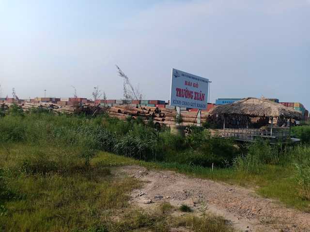 Hải Phòng: Loay hoay xử lý bãi gỗ nằm trên dải cây xanh KCN Minh Phương