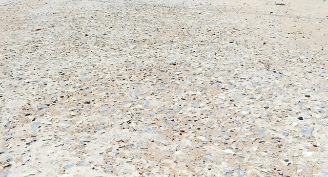 Hậu Lộc (Thanh Hóa): Làm đường giao thông nông thôn chưa bàn giao đã xuống cấp