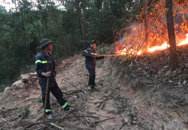 TP. Đà Nẵng: Cháy rừng đầu nguồn, hơn 200 người dập lửa nhiều giờ - Hình 1
