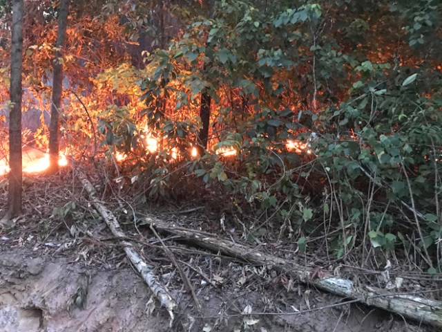 TP. Đà Nẵng: Cháy rừng đầu nguồn, hơn 200 người dập lửa nhiều giờ - Hình 2
