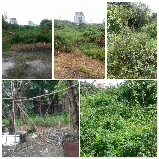 Bình Dương: Thủ tục hành chính làm khó doanh nghiệp!