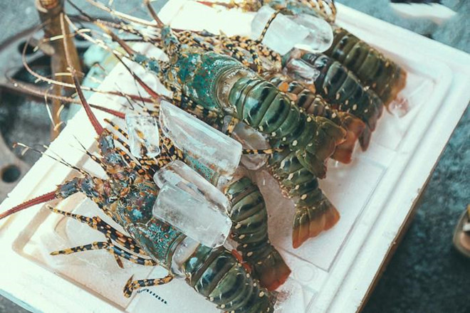 Mỹ công bố thuế chống bán phá giá 0% với tôm Việt