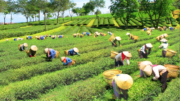 Đổi mới chính sách đối với đồng bào dân tộc - Hình 1