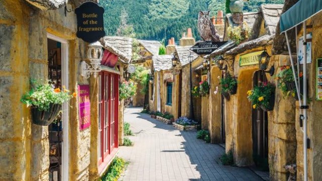 Nhật Bản việt nam