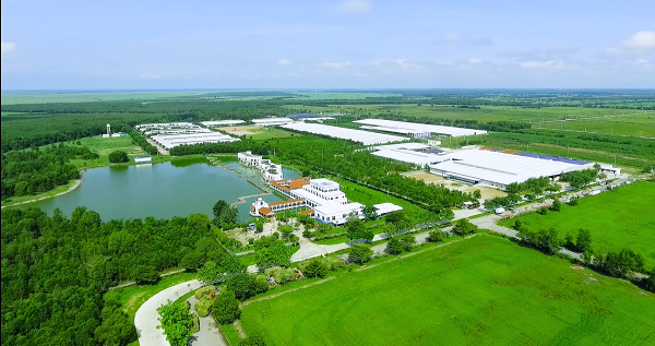 Trang trại bò sữa Vinamilk Tây Ninh là trang trại đi đầu về ứng dụng công nghệ 4.0 trong vận hành và quản lý