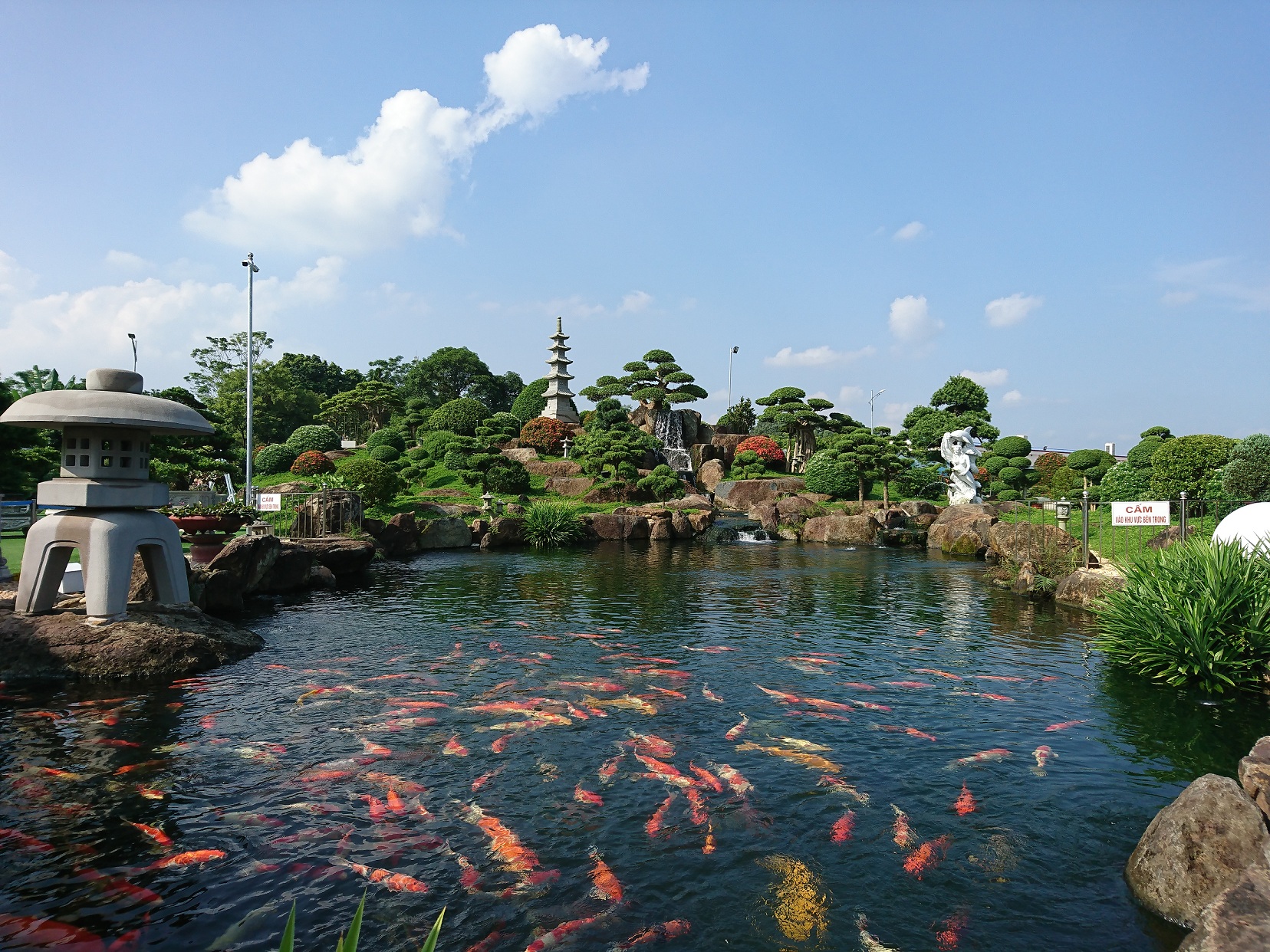 Công viên đá - sân vườn và hồ cá KOI Nhật Bản, trưng bày các cây cảnh đẹp, có giá trị cao