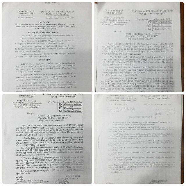 Hô biến 'của công thành của ông', đất rừng cao su đang bị thâu tóm?- Kỳ 2