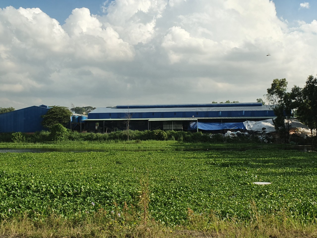 Đồng Nai: Kẽ hở nào giúp ‘đầu nậu’ ngang nhiên phân lô, bán nền trái phép? – Bài 9