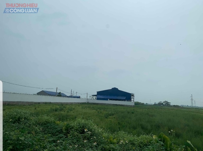 cơ sở giết mổ gia súc của công ty TNHH thục phẩm Trường Sang với diện tích 5.834m2 đất nông nghiệp cơ sở giết mổ gia súc của công ty TNHH thục phẩm Trường Sang với diện tích 5.834m2 đất nông nghiệp