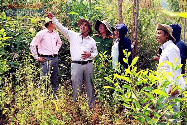 Đoàn giám sát của HĐND tỉnh Gia Lai kiểm tra việc triển khai thu hồi đất rừng bị lấn chiếm để chuyển sang cây trồng phù hợp mục đích lâm nghiệp