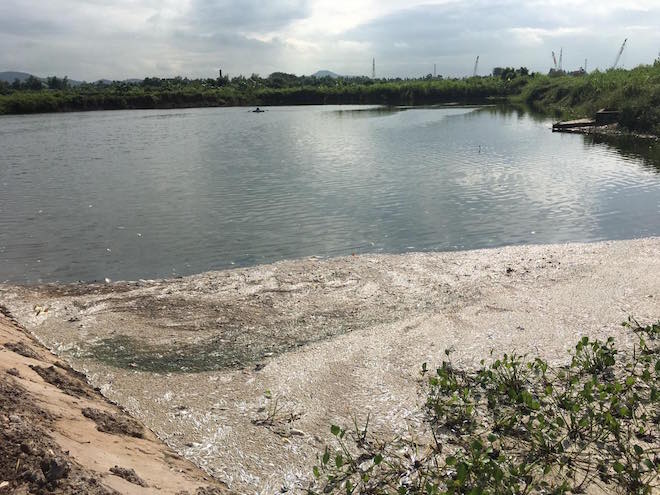 Huyện Nam Sách (Hải Dương): Hơn 4 tấn cá chết, nghi do bị đầu độc?