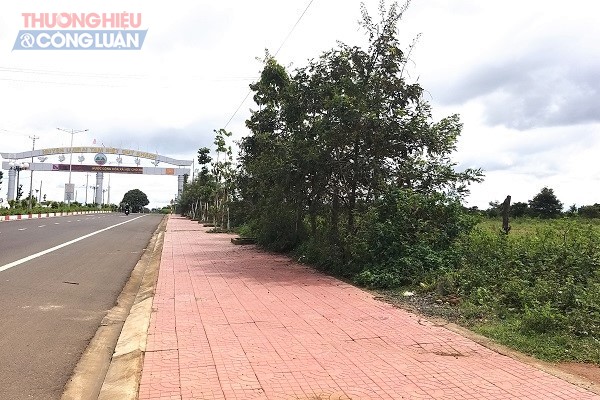 Thửa đất rộng 9.600 m2 ngay mặt tiền Tỉnh lộ 664 của gia đ&igrave;nh thương binh B&ugrave;i Thị Su khai hoang từ năm 1987 đang đứng trước Quyết định cưỡng chế của UBND huyện Ia Grai.