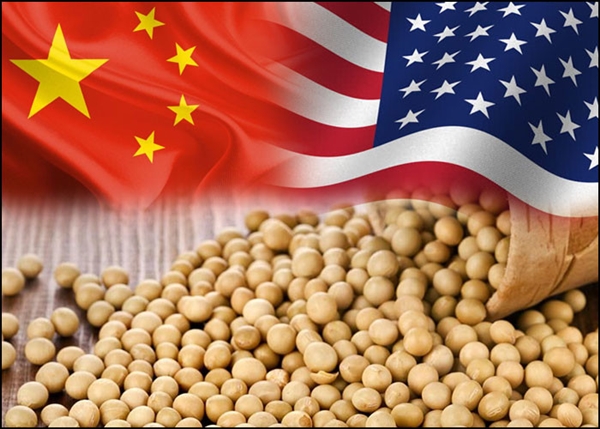Trung Quốc ‘xuống thang’ chưa từng có, dỡ thuế quan với thịt lợn và đậu tương Mỹ