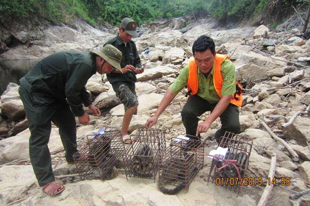 Chi cục Kiểm L&acirc;m Thừa Thi&ecirc;n Huế thả động vật qu&iacute; hiếm về rừng