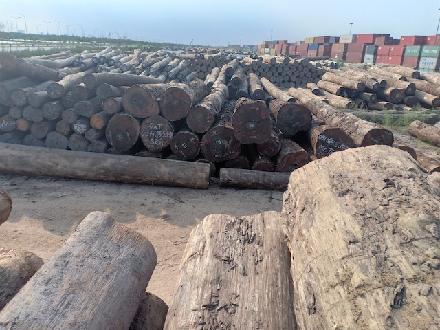 trên 200.000m3 gỗ đang tồn đọng tại KCN Minh Phương, Đình Vũ, Hải Phòng