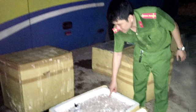 Hà Tĩnh: Bắt giữ 1 tấn thịt mèo hôi thối trên xe khách Nam – Bắc