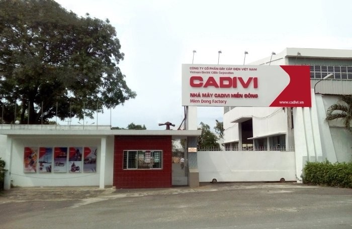 CADIVI bị phạt và truy thu thuế hơn 1,1 tỷ đồng