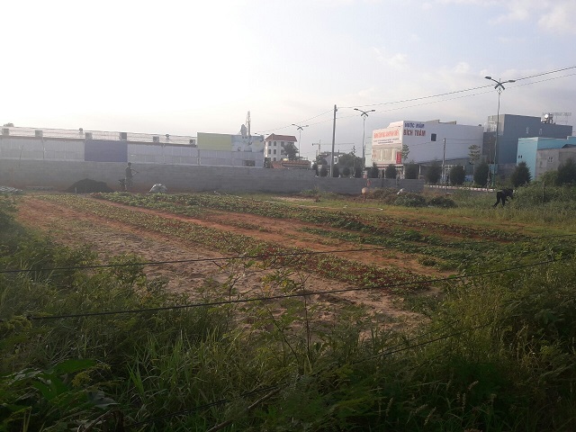 TP. Phan Thiết: Những khuất tất tại Dự án khu dân cư Hùng Vương II bao giờ xử lý?