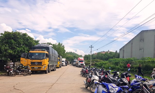 hagngf cghucs xe &ugrave;n tắc