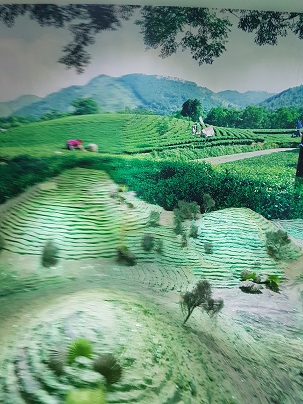 Thái Nguyên: Tổ chức xúc tiến, quảng bá du lịch chào mừng các ngày Du lịch thế giới