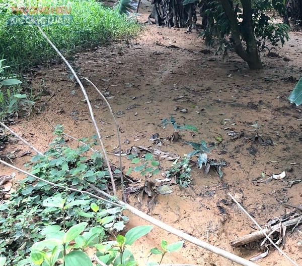 gia đình phải sống trong cảnh ô nhiễm về tiếng ồn, khói bụi, nước thải, chất thải.