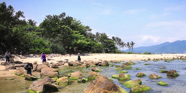 mỘT GỐC GH&Ecirc;NH NAM &Ocirc;