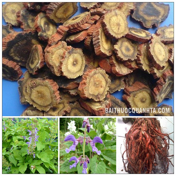 Sở Y tế Hà Nội: Ngừng sử dụng lô thuốc vị thuốc Đan Sâm không đảm bảo chất lượng